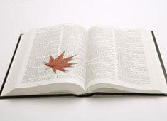 意甲强队表现出色，稳坐积分榜前列