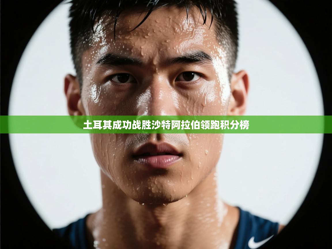 土耳其成功战胜沙特阿拉伯领跑积分榜  第1张