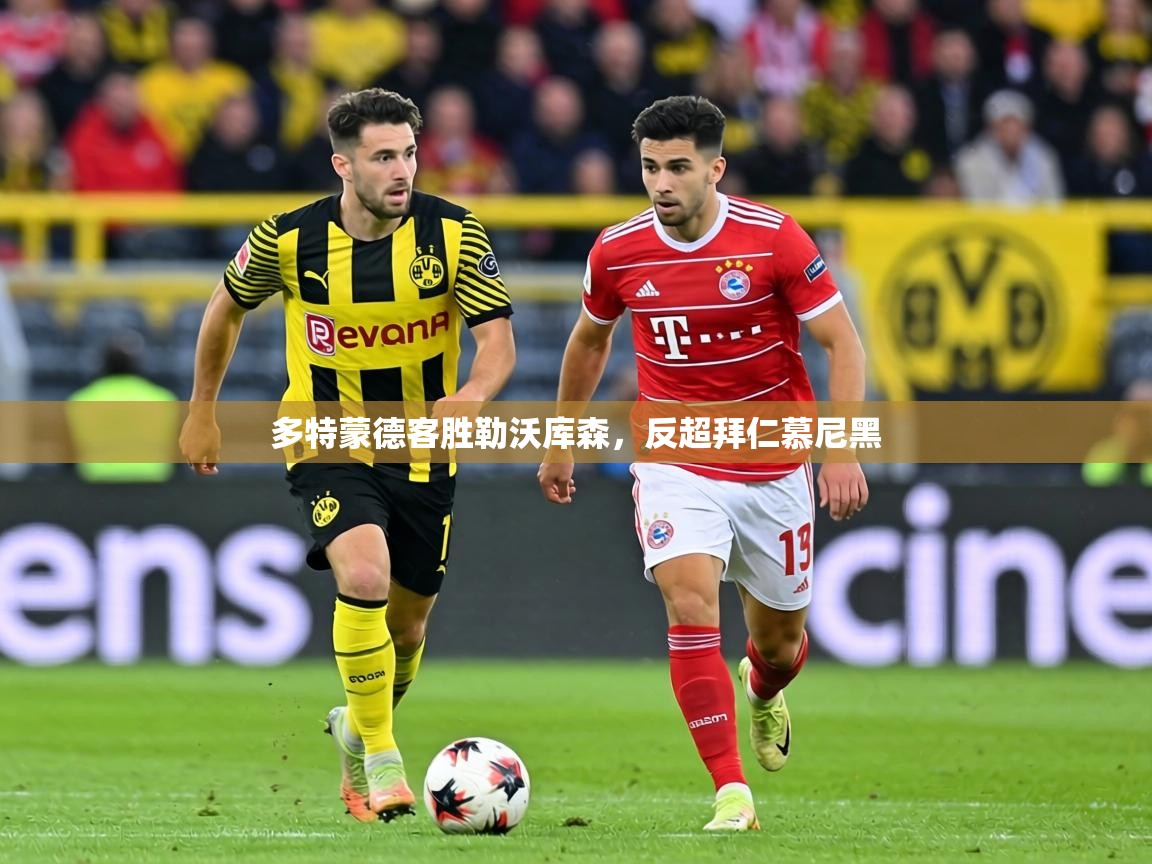 多特蒙德客胜勒沃库森,反超拜仁慕尼黑 第1张